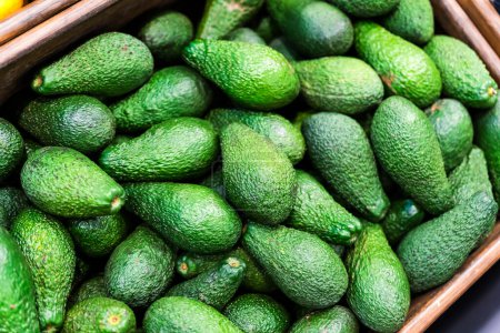 Avocado in the supermarket. Green ripe avocado background on the farm. Fruit and vegetable industry, vegetarian food. High quality photo