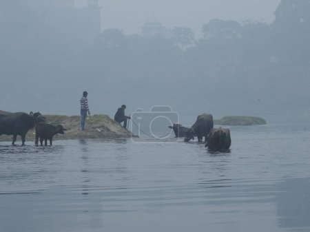 Foto de Agra, Uttar Pradesh, India - 08 Jan 2021 : Foggy Morning on the river side. - Imagen libre de derechos