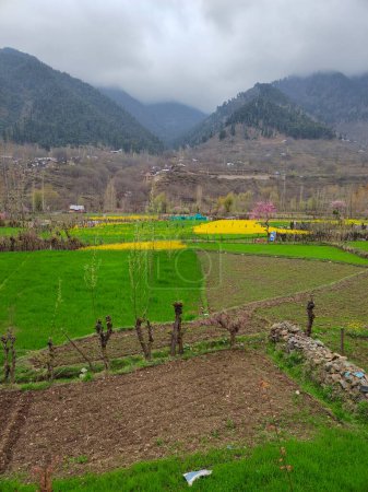 Foto de Kashmir, India - April 14th, 2021 : Beautiful landscape of Kashmir in himalayas. - Imagen libre de derechos