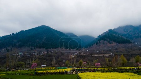 Foto de Kashmir, India - April 14th, 2021 : Beautiful landscape of Kashmir in himalayas. - Imagen libre de derechos
