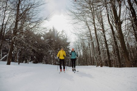 Téléchargez les photos : Couple de personnes âgées skient ensemble au milieu de la forêt enneigée - en image libre de droit