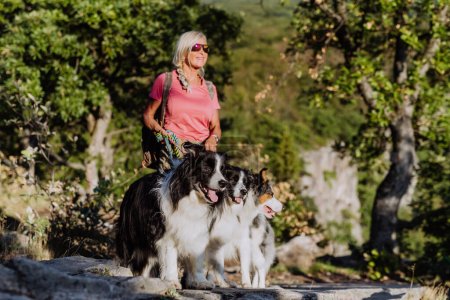 Senior mujer caminando con sus tres perros en un bosque.