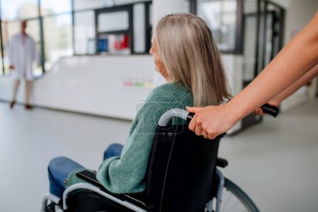 Téléchargez les photos : Vue arrière du travailleur hospitalier poussant une femme âgée sur un fauteuil roulant. - en image libre de droit
