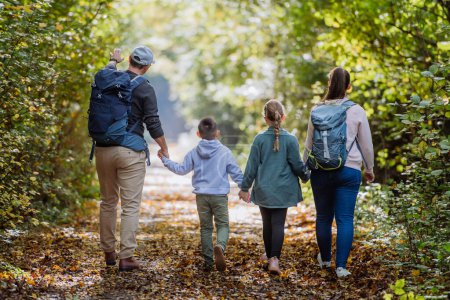 Téléchargez les photos : Rear view of family with kids walking in a forest. - en image libre de droit