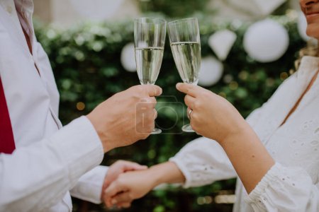 Téléchargez les photos : Close-up of wedding toast of bride and groom, outdoor. - en image libre de droit
