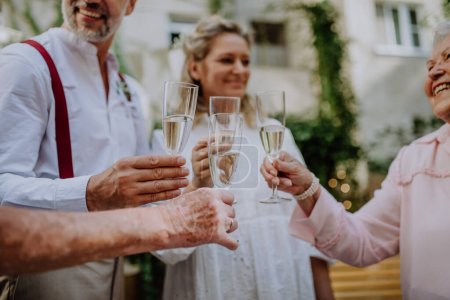 Foto de A mature bride and groom toasting with guests at wedding reception outside in the backyard. - Imagen libre de derechos