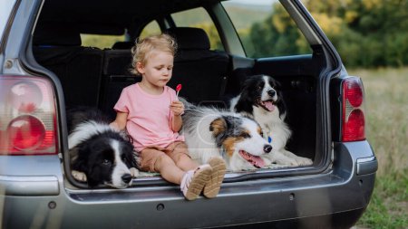 Foto de Niña y sus perros sentados en un coche, preparados para un viaje familiar, - Imagen libre de derechos