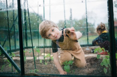 Téléchargez les photos : Petits enfants prenant soin d'une serre et des plantes. - en image libre de droit