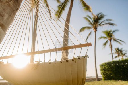 Photo for Close up of hammock hanging on palms, concept of summer exotic holiday. - Royalty Free Image