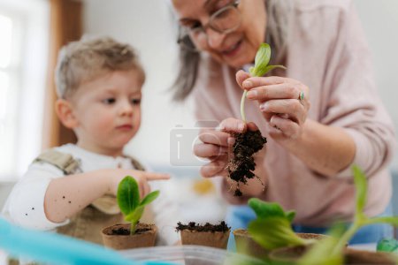 Téléchargez les photos : Grand-mère et son petit-fils plantant des légumes et des fleurs, printemps. - en image libre de droit