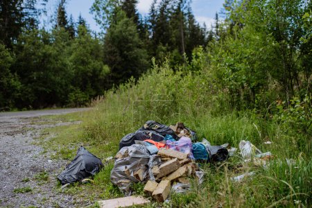 Foto de Illegal dumping of waste in a forest, trashes in black plastic bags. - Imagen libre de derechos