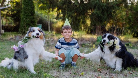 Photo for Little boy posing with his dogs in forest. - Royalty Free Image