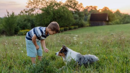 Foto de LIttle niño entrenando a su perro en la naturaleza. - Imagen libre de derechos