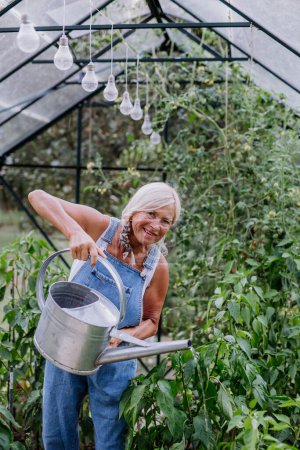 Téléchargez les photos : Femme âgée dans le jardin à la maison arrosant des légumes dans une serre. - en image libre de droit