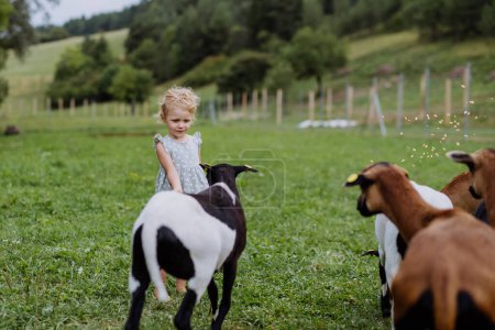 Téléchargez les photos : Petite fille avec des chèvres en plein air sur une prairie. - en image libre de droit