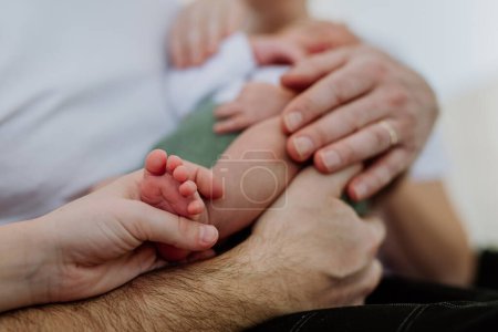 Photo for Close up of family holding and stroking their baby. - Royalty Free Image