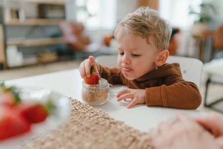 Photo for Little child eating homegrown strawberries with brown sugar. - Royalty Free Image