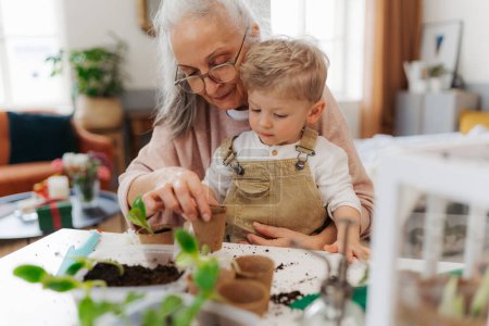 Photo for Grandmother with her grandson planting vegetables and flowers, spring time. - Royalty Free Image