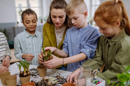 Téléchargez les photos : Jeune enseignante apprenant à ses élèves à prendre soin des plantes. - en image libre de droit