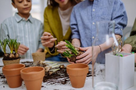 Téléchargez les photos : Jeune enseignante apprenant à ses élèves à prendre soin des plantes. - en image libre de droit