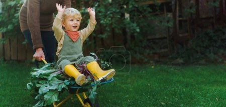 Photo for Little boy sitting at a wheelbarrow with harvest vegetable, having fun. - Royalty Free Image