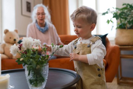 Photo for Little boy looking at flowers in a vase. - Royalty Free Image