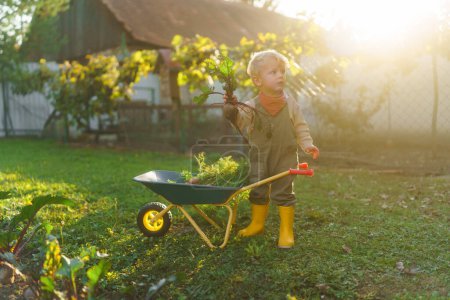 Photo for Little boy with a wheelbarrow posing in garden during autumn day. - Royalty Free Image