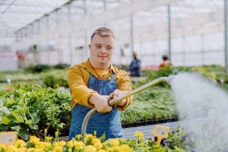 Photo for A happy young employee with Down syndrome working in garden centre, watering plants with a shower head and hose. - Royalty Free Image