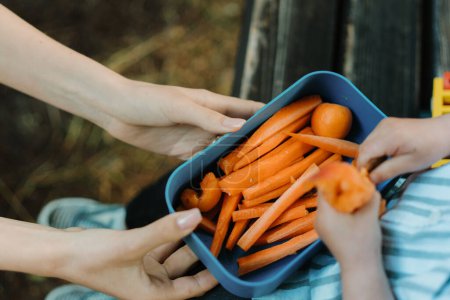 Téléchargez les photos : Des morceaux de carottes et d'abricots hachés crus dans une boîte à lunch. Mère tenant une collation saine pour ses enfants. Manger à l'extérieur sur un banc de parc. - en image libre de droit
