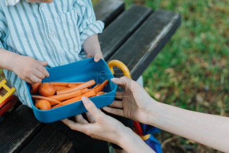 Foto de Trozos de zanahorias picadas crudas y albaricoques en la lonchera. Madre sosteniendo bocadillos saludables para sus hijos. Comer al aire libre en un banco del parque. - Imagen libre de derechos