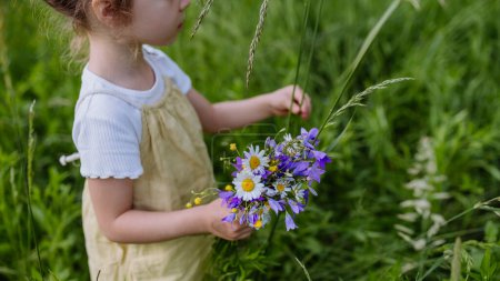 Foto de Primer plano de la niña recogiendo flores en un prado. - Imagen libre de derechos