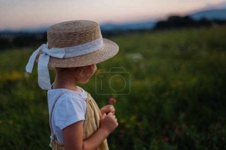 Téléchargez les photos : Vue arrière de l'adorable petite fille avec chapeau de paille debout au milieu de la prairie d'été. Enfant aux cheveux blonds bouclés cueillant des fleurs au coucher du soleil. Les enfants passent l'été avec leurs grands-parents dans la - en image libre de droit