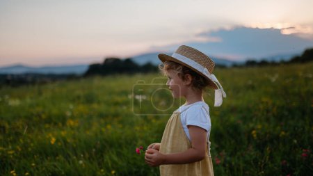 Téléchargez les photos : Portrait d'adorable petite fille avec chapeau de paille debout au milieu de la prairie d'été. Enfant aux cheveux blonds bouclés au coucher du soleil. Les enfants passent l'été avec leurs grands-parents à la campagne. - en image libre de droit