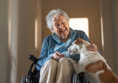 Téléchargez les photos : Femme âgée profitant du temps avec son petit chien à la maison. Chien comme compagnon, meilleurs amis pour les seniors. - en image libre de droit