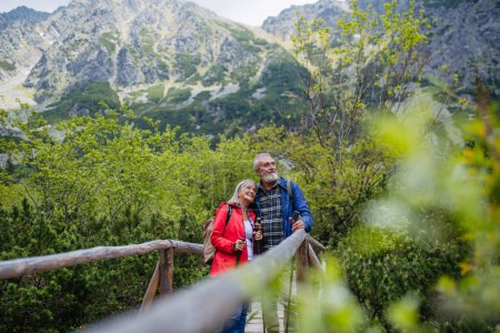Foto de Retrato de una hermosa pareja de ancianos activos caminando juntos en las montañas de otoño, de pie sobre un puente de madera. Los cónyuges mayores en las vacaciones en las montañas celebrando el aniversario. Turistas mayores - Imagen libre de derechos