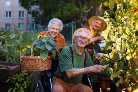 Photo for Portrait of senior friends taking care of vegetable plants in urban garden in the city. Pensioners spending time together gardening in community garden in their apartment complex. Nursing home - Royalty Free Image
