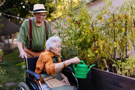 Photo for Portrait of senior couple taking care of vegetable plants in urban garden in the city. Pensioners spending time together gardening in community garden in their apartment complex. Nursing home - Royalty Free Image