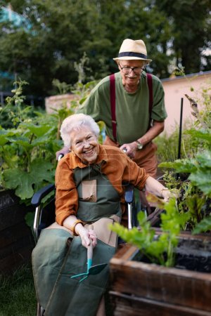 Portrait of senior couple taking care of vegetable plants in urban garden in the city. Pensioners spending time together gardening in community garden in their apartment complex. Nursing home