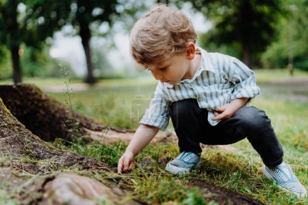 Téléchargez les photos : Petit garçon mignon à la recherche, observant des insectes dans le parc public. Jeune garçon accroupi et explorant la nature, à la recherche d'insectes, de coccinelles ou de fourmis. Jardin d'enfants, préscolaire passer l'après-midi en plein air à - en image libre de droit