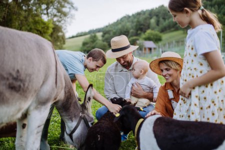 Foto de Retrato de la familia campesina acariciando burros y cabras en su granja. Una mula gris y cabras como animales de granja en la granja familiar. Concepto de agricultura multigeneracional. - Imagen libre de derechos
