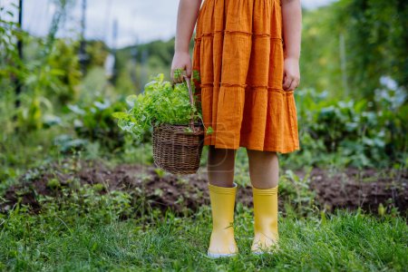 Téléchargez les photos : Gros plan d'une fille jaune jardinage bottes en caoutchouc, jeune fille debout dans un jardin d'automne. - en image libre de droit