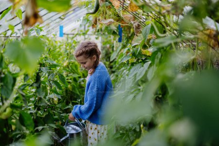 Foto de Retrato de una linda joven regando plantas con regadera en un invernadero. Chica trabajando en medio del cultivo de verduras. - Imagen libre de derechos