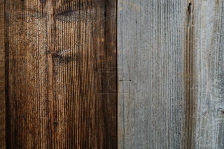 Close-up texture of gray and brown rustic wood grain. Natural wooden board background for design and decoration. High-quality image of hardwood surface. Transition between brown and gray wooden plank.