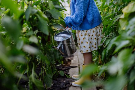 Téléchargez les photos : Portrait de jeune fille arrosant des plantes avec arrosoir dans une serre. Fille travaillant au milieu de la culture de légumes. - en image libre de droit