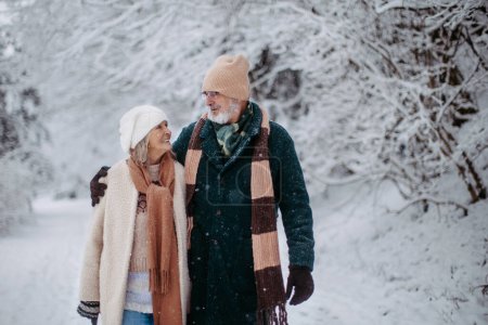 Photo for Elegant senior couple walking in the snowy park, during cold winter snowy day. Elderly couple spending winter vacation in the mountains. Wintry landscape. - Royalty Free Image