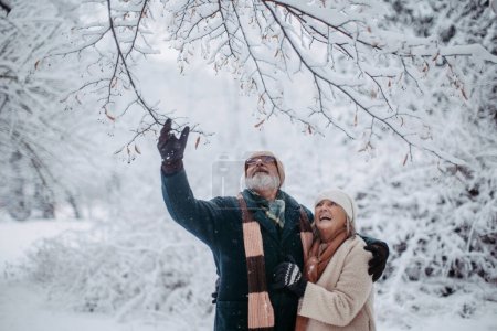 Photo for Elegant senior couple walking in the snowy park, during cold winter snowy day. Elderly man shaking snow off the branch, laughing. Wintry landscape. - Royalty Free Image
