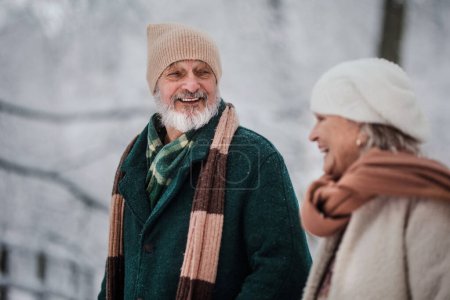 Photo for Close-up of elegant senior man walking with his wife in the snowy park, during cold winter snowy day. Elderly couple spending winter vacation in the mountains. Wintry landscape. - Royalty Free Image