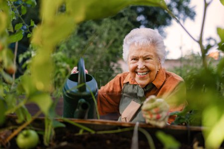 Gros plan de la femme âgée en fauteuil roulant prenant soin de la plante de courgette dans le jardin urbain. Femme âgée arrosant des plantes dans des lits surélevés dans un jardin communautaire dans son complexe d'appartements. Tourné d'en haut.