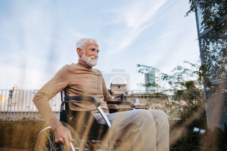 Foto de Hombre mayor en silla de ruedas sentado afuera en un jardín urbano, disfrutando de un cálido día de otoño. Retrato de un anciano elegante con pelo gris y barba en el jardín de la azotea de la ciudad. - Imagen libre de derechos