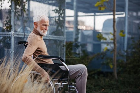 Téléchargez les photos : Homme âgé en fauteuil roulant assis à l'extérieur dans un jardin urbain, profitant d'une chaude journée d'automne. Portrait d'un homme âgé élégant aux cheveux gris et barbe dans le jardin sur le toit de la ville. - en image libre de droit